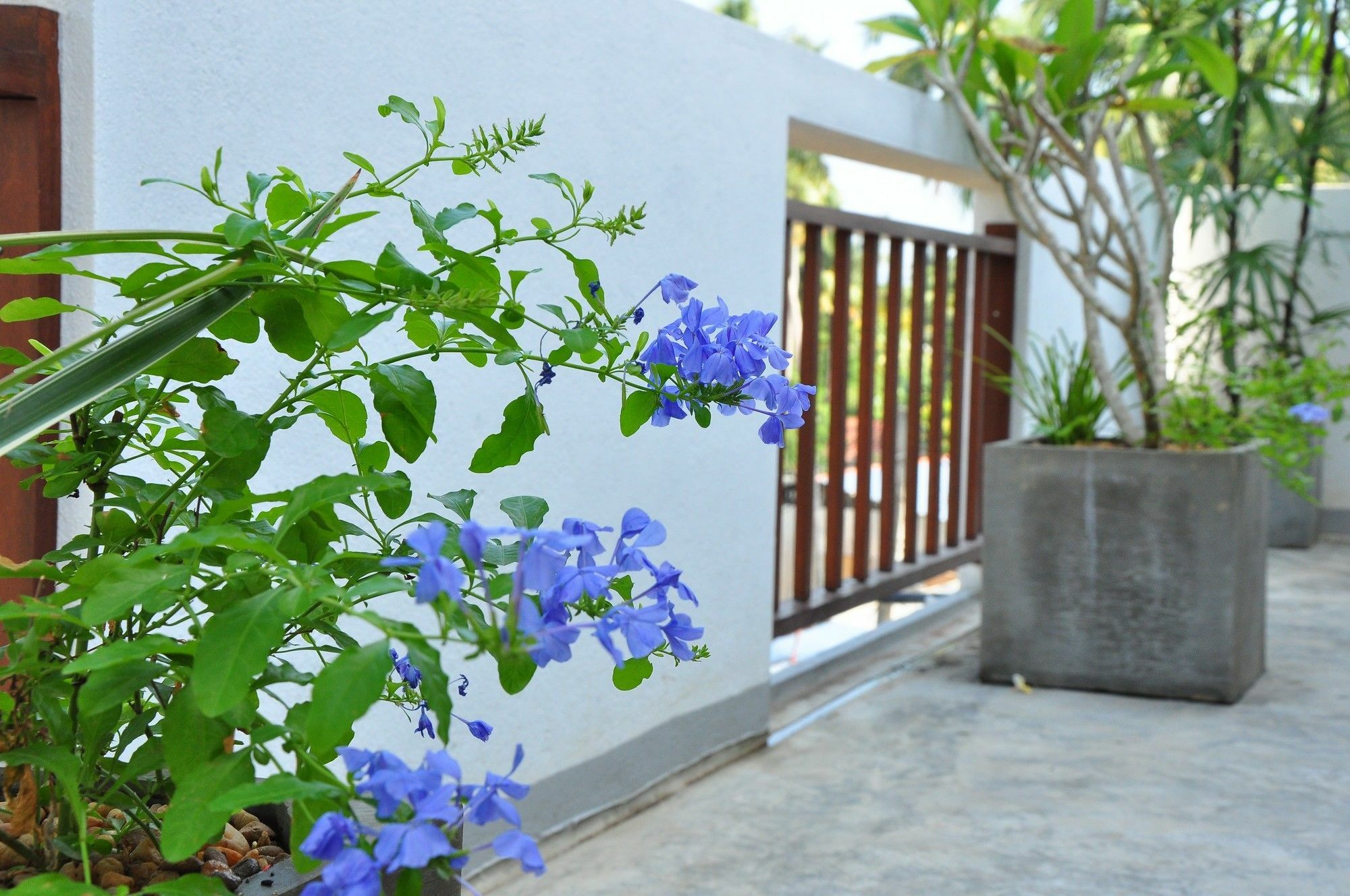 Brizo Weligama Hotel Buitenkant foto